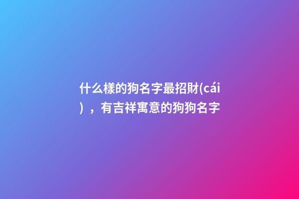 什么樣的狗名字最招財(cái)，有吉祥寓意的狗狗名字